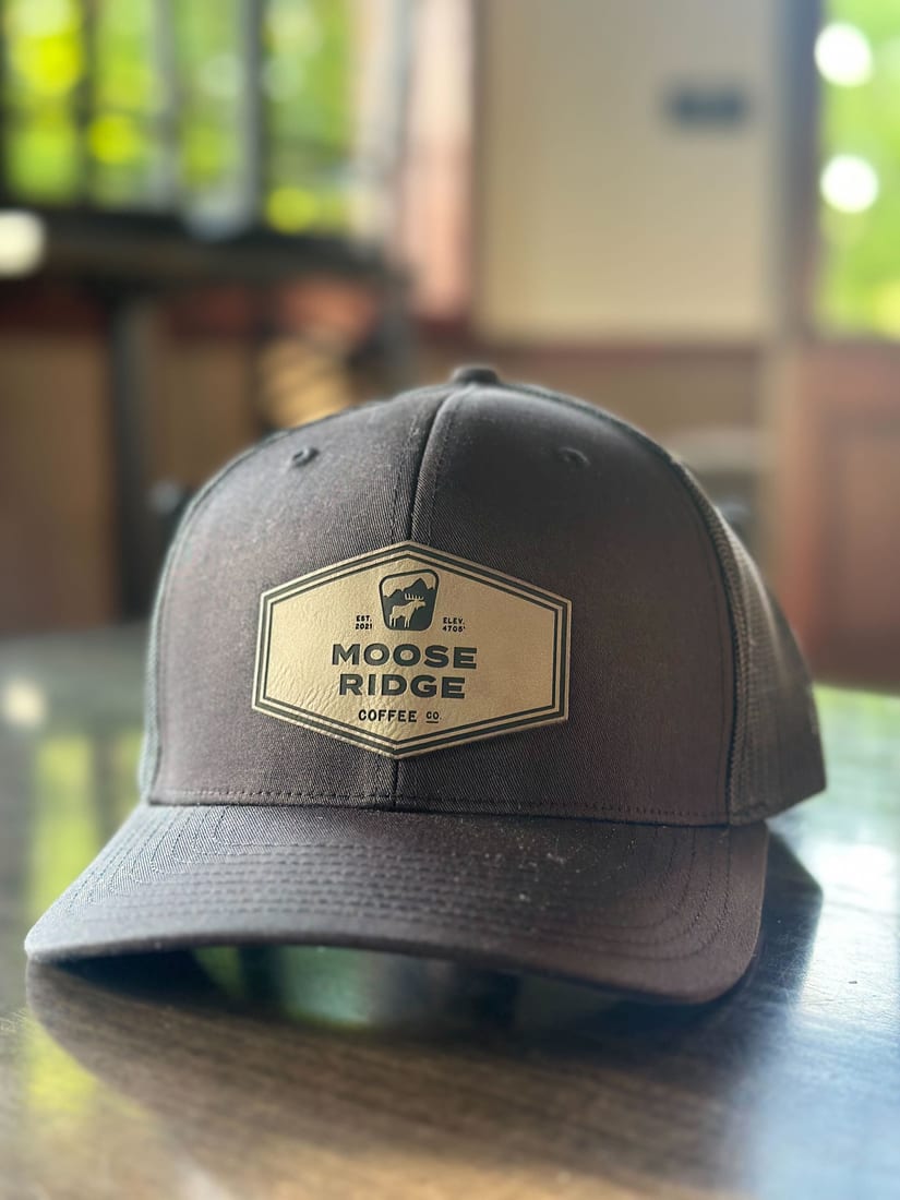 Moose Ridge charcoal patch cap
